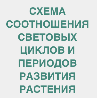 B5AB413F-20CE-43A4-BC8C-FC4E5FEC9835.jpeg