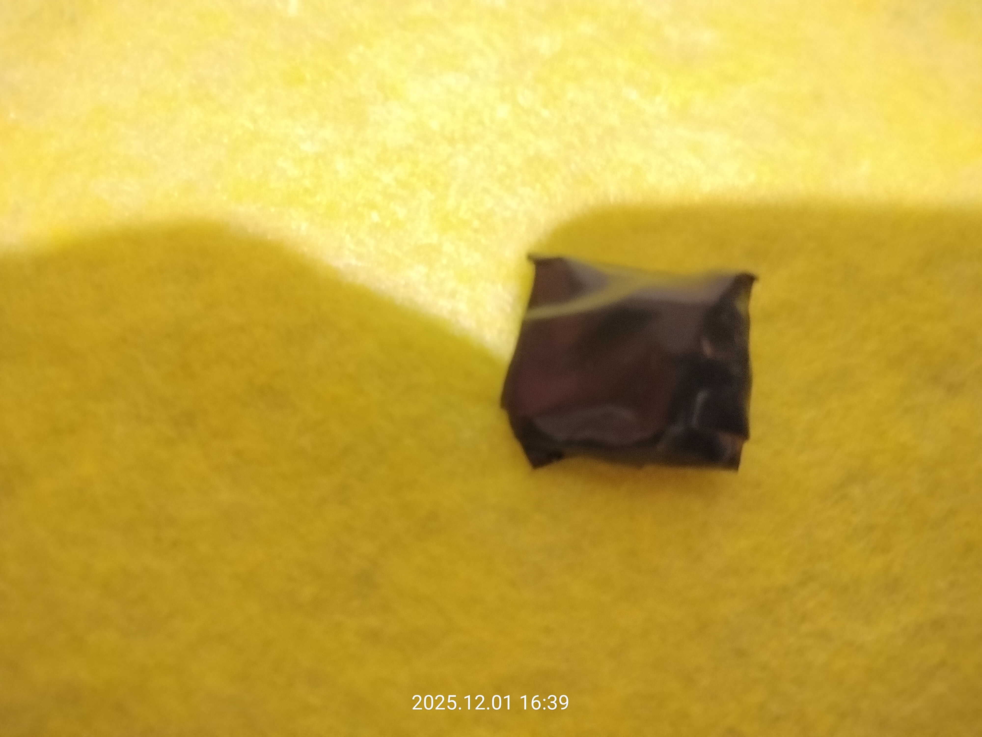 IMG20251201163901.jpg