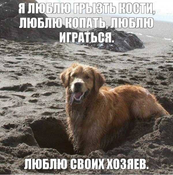 ydm47L7.jpg
