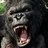 KingKongTank